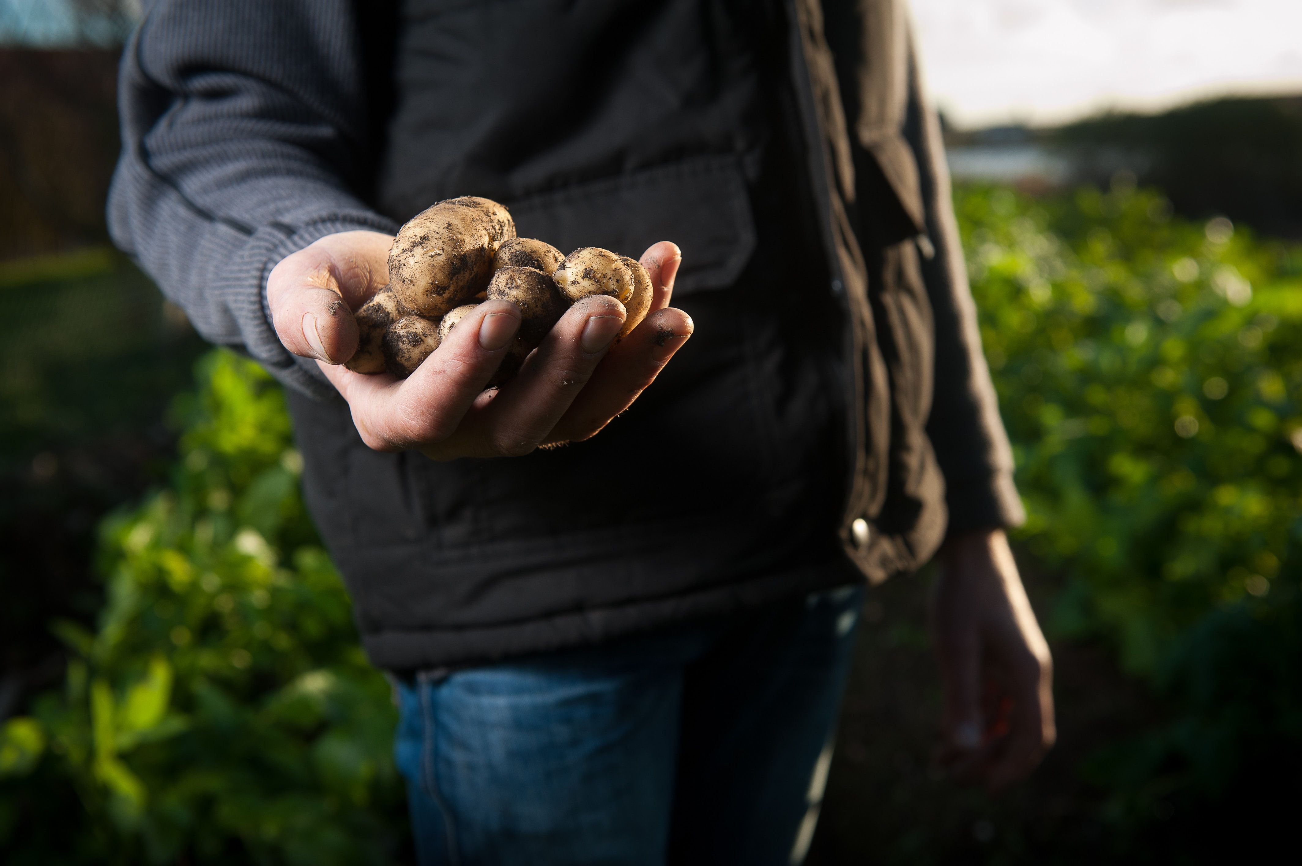 sustainability, food provenance, food sustainability, farmers, farm, farm to fork, ireland, irish farmers, the convention centre dublin,